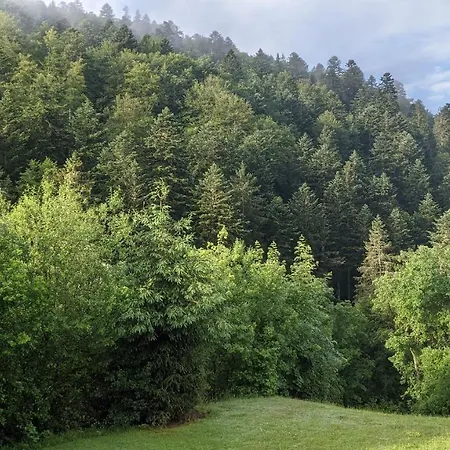 דירה Ferienwohnung Sonnen Strahl *