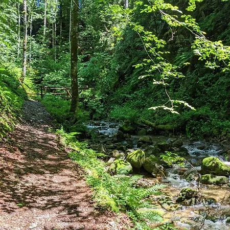 Ferienwohnung Sonnen Strahl * טודמוס