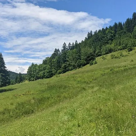 Ferienwohnung Sonnen Strahl דירה *