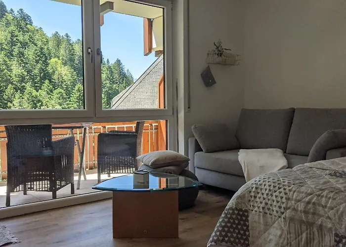 Appartement Sonnen Strahl Todtmoos