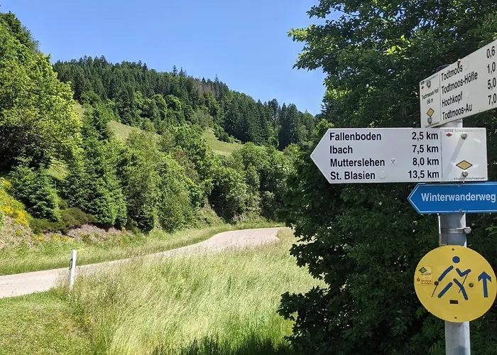 Sonnen Strahl Todtmoos